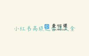 小红书高级运营课大全