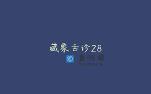 藏象舌诊28