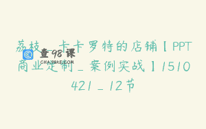 荔枝_卡卡罗特的店铺【PPT商业定制_案例实战】1510421_12节