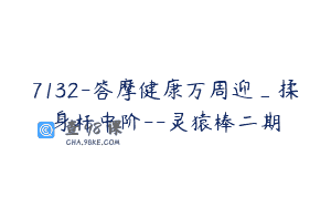 7132-答摩健康万周迎_揉身杆中阶–灵猿棒二期