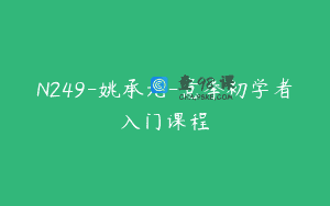 N249-姚承光-意拳初学者入门课程
