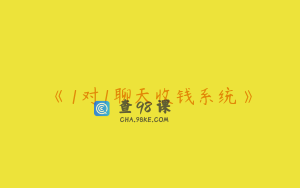 《1对1聊天收钱系统》