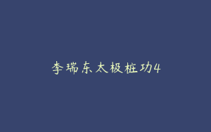 李瑞东太极桩功4