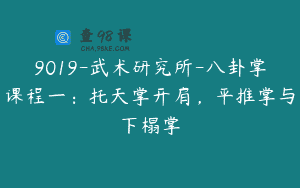 9019-武术研究所-八卦掌课程一：托天掌开肩，平推掌与下榻掌