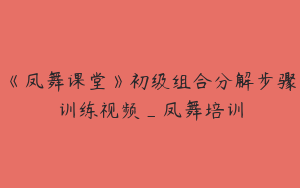 《凤舞课堂》初级组合分解步骤训练视频_凤舞培训
