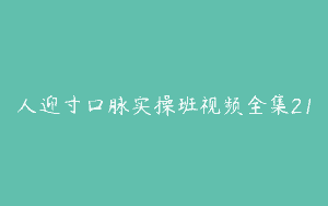 人迎寸口脉实操班视频全集21