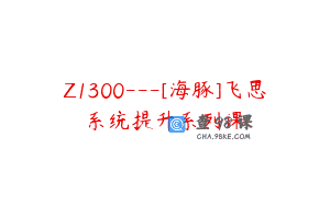 Z1300—[海豚]飞思系统提升系列课