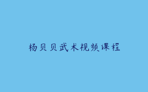 杨贝贝武术视频课程
