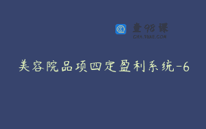 美容院品项四定盈利系统-6