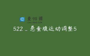 522_悬垂腹运动调整5