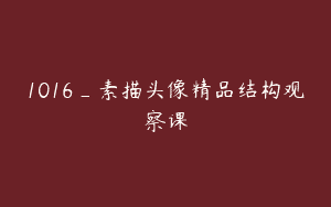 1016_素描头像精品结构观察课
