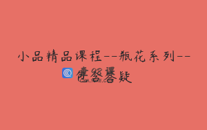 小品精品课程--瓶花系列--包含答疑