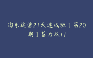 淘系运营21天速成班【第20期】蓄力双11