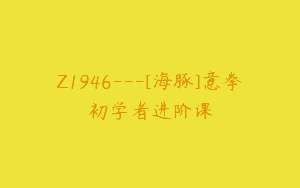 Z1946—[海豚]意拳初学者进阶课