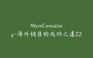MicroConsulting-海外销售的成功之道22