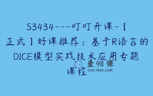 S3434—叮叮开课-【正式】好课推荐：基于R语言的DICE模型实践技术应用专题课程