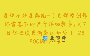 夏辉不姓夏舞蹈-【夏辉原创舞蹈雪落下的声音详细教学1月7日起陆续更新默认班级】-28800圆-24节