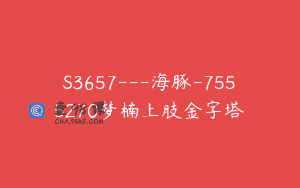 S3657—海豚-7555270梦楠上肢金字塔