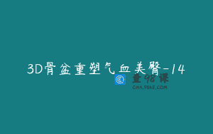 3D骨盆重塑气血美臀-14