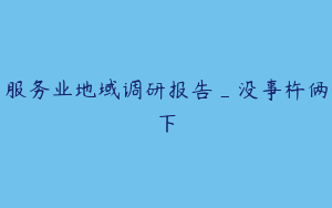 服务业地域调研报告_没事杵俩下