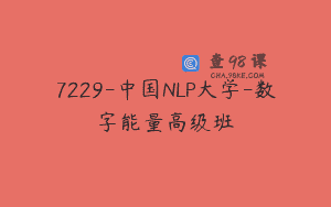 7229-中国NLP大学-数字能量高级班
