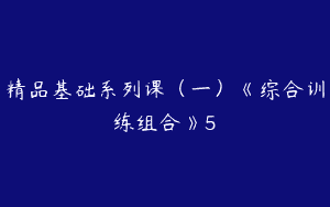 精品基础系列课（一）《综合训练组合》5