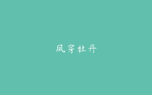 凤穿牡丹