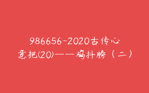 986656-2020古传心意把(20)——鸡抖膀（二）