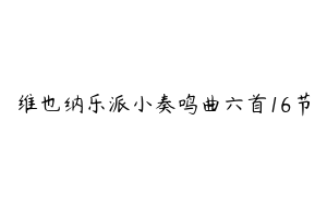 维也纳乐派小奏鸣曲六首16节