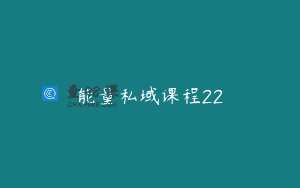 能量私域课程22