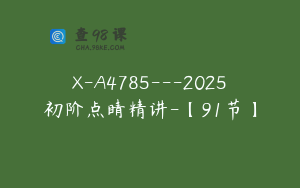 X-A4785---2025初阶点睛精讲-【91节】