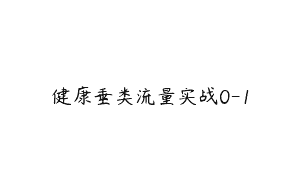 健康垂类流量实战0-1