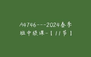 A4746---2024春季班中级课-【11节】