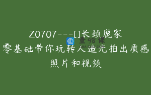 Z0707---[]长颈鹿家零基础带你玩转人造光拍出质感照片和视频