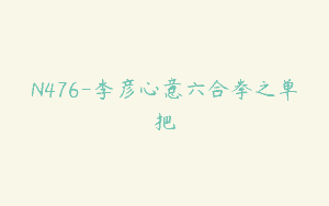N476-李彦心意六合拳之单把