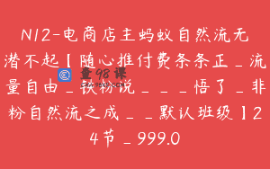 N12-电商店主蚂蚁自然流无潜不起【随心推付费条条正_流量自由_铁粉说___悟了_非粉自然流之成__默认班级】24节_999.0