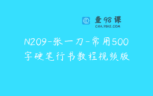 N209-张一刀-常用500字硬笔行书教程视频版