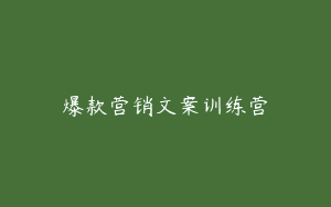 爆款营销文案训练营