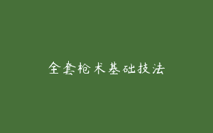 全套枪术基础技法