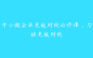 中小微企业老板财税必修课_刀姐老板财税