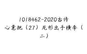1018462-2020古传心意把（27）龙形出手横拳（二）