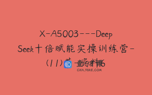 X-A5003---DeepSeek十倍赋能实操训练营-(11)节-资料6