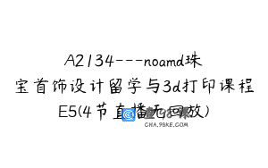 A2134—noamd珠宝首饰设计留学与3d打印课程E5(4节直播无回放)