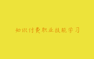 知识付费职业技能学习