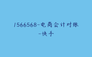 1566568-电商会计对账-快手