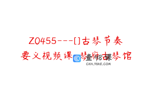Z0455---[]古琴节奏要义视频课-琴府古琴馆