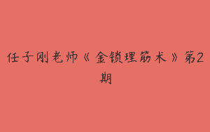任子刚老师《金锁理筋术》第2期