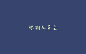鲸潮私董会