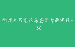 徐渭大写意花鸟鉴赏专题课程--36
