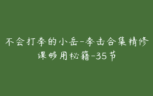 不会打拳的小岳-拳击合集精修课够用秘籍-35节